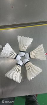 Cầu Lông Vina-star Tem đỏ