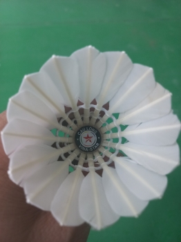 Cầu lông Vina-star ống xanh than 3