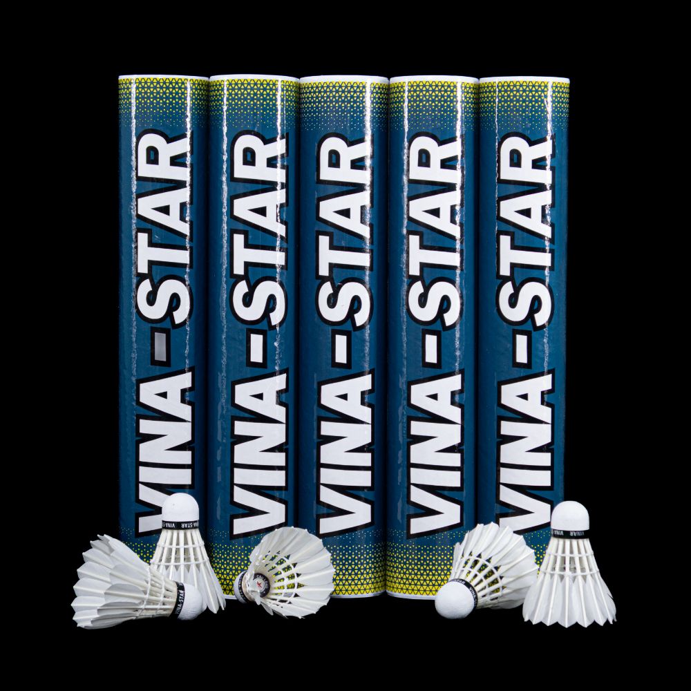 Cầu lông Vina-star ống xanh than 3