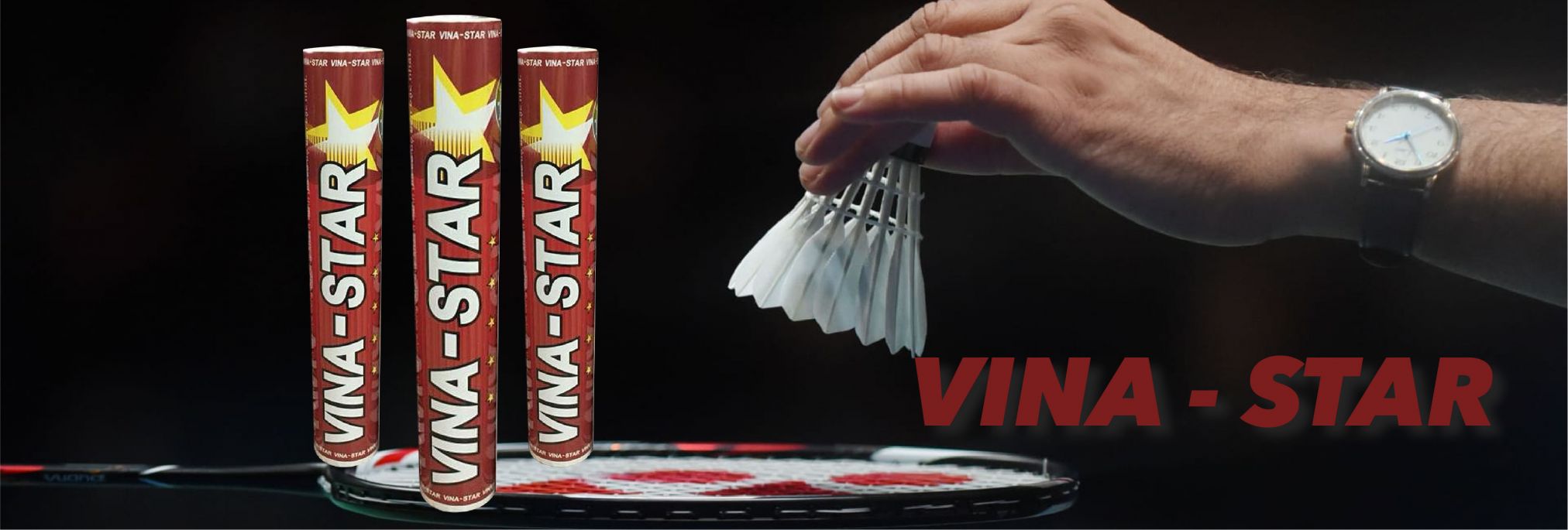 CÔNG TY TNHH MTV VINA-STAR